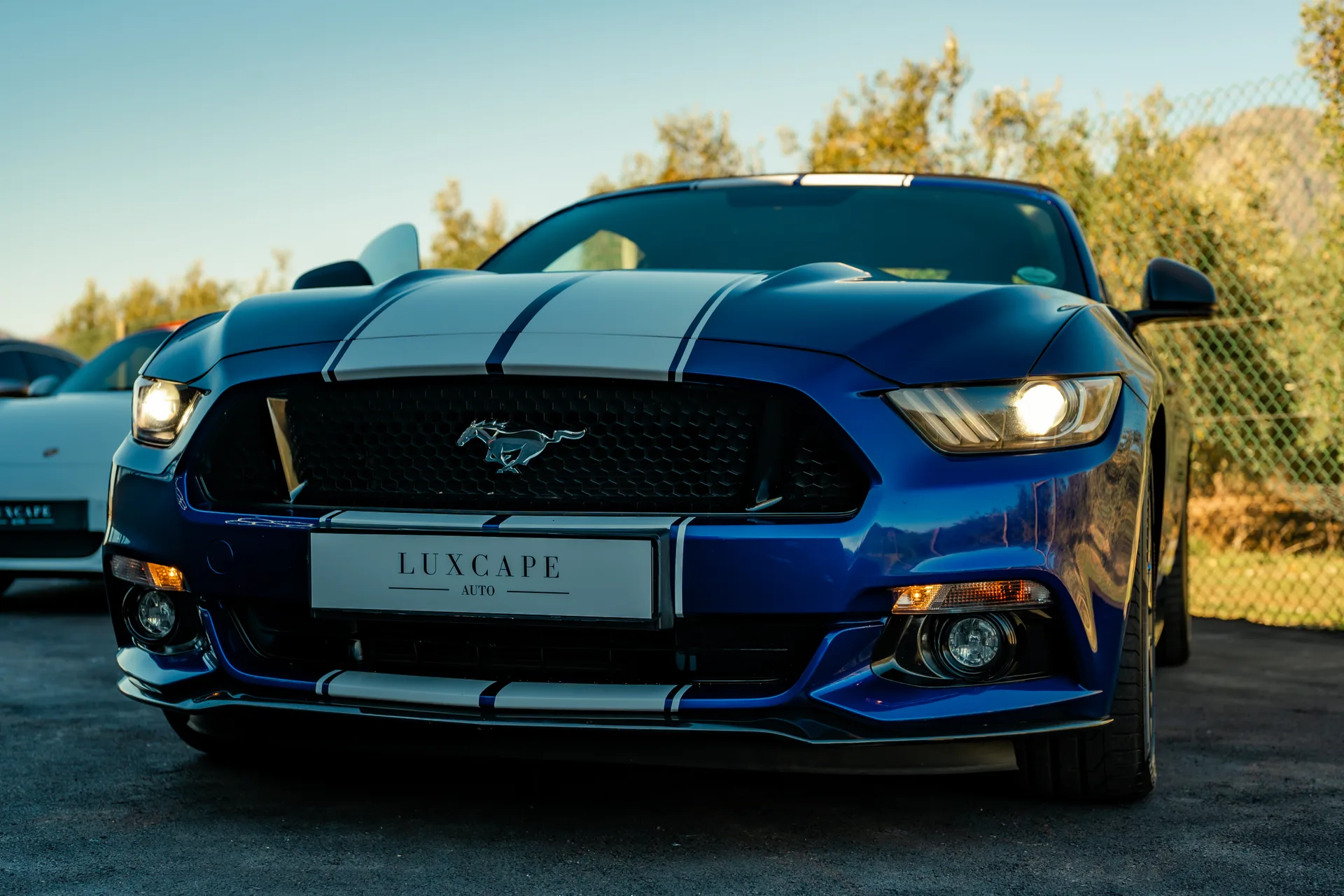 Ford Mustang 5.0