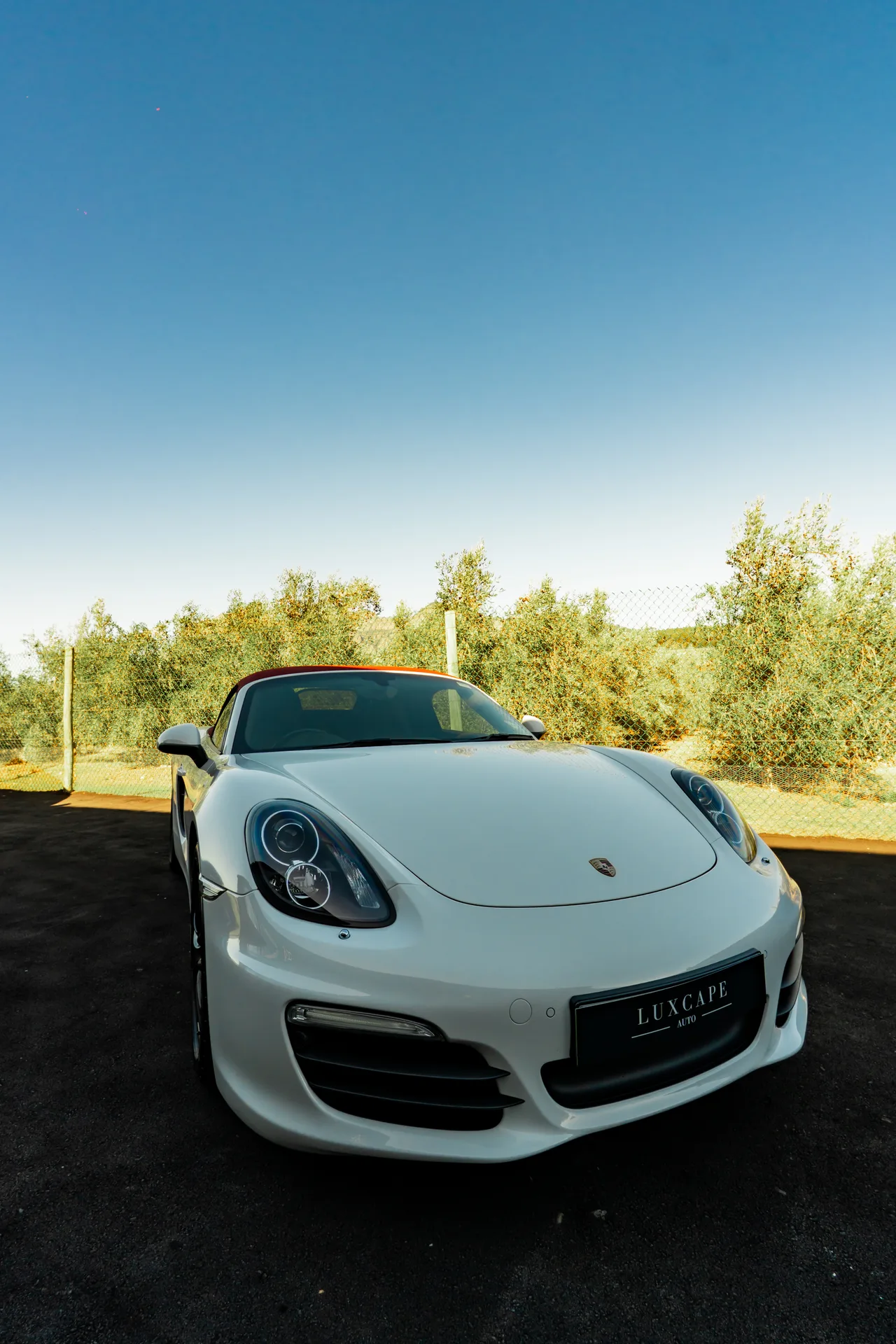 Porsche  Boxster S 